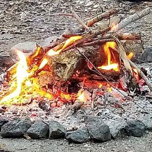 Meet your Posher, Stormie